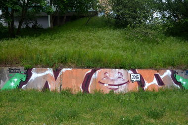 Graffiti Bombing - Photo by NOIIO3 - no2 (2016)