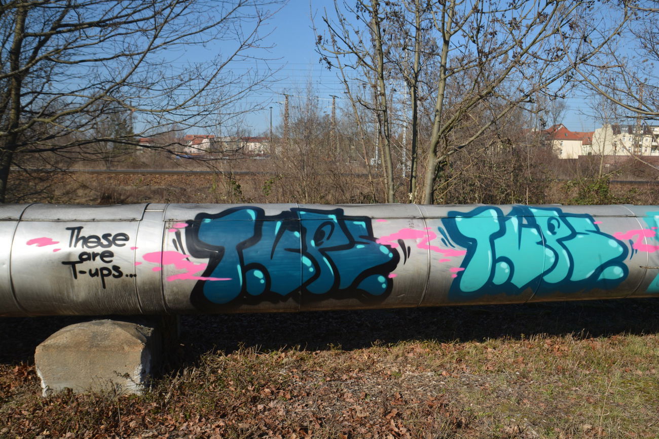 Graffiti Bombing in Frankfurt (Oder) - Photo by NOIIO3 - tups, tup, thisisatup (2016)
