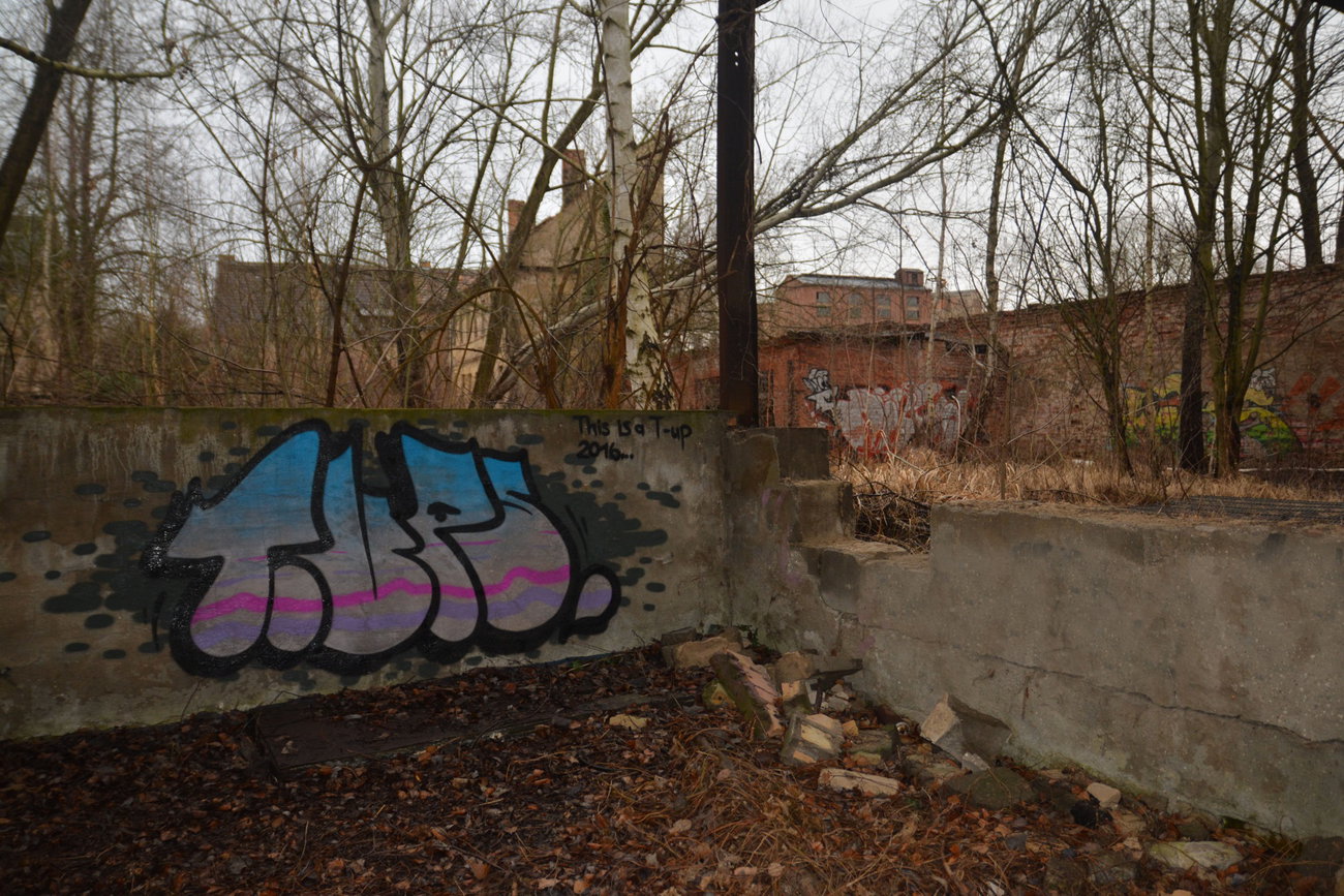 Graffiti Wall in Frankfurt (Oder) - Photo by NOIIO3 - tups, tup, thijisatup (2016)
