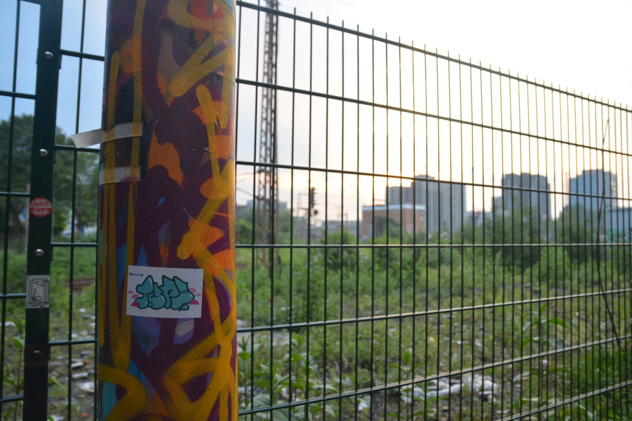 Graffiti Bombing - Photo by NOIIO3 - tup, tups, throwup (2016)