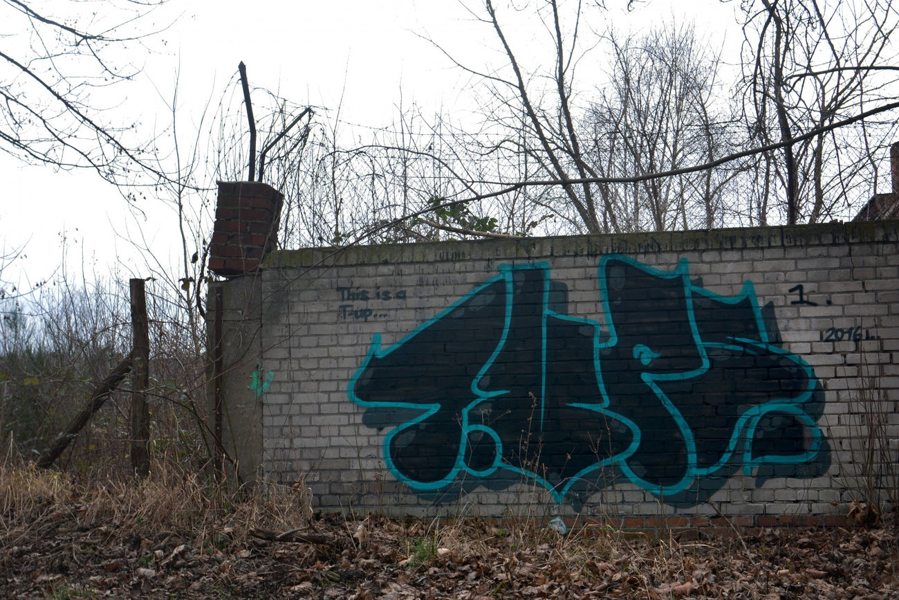 Graffiti Bombing in Frankfurt (Oder) - Photo by NOIIO3 - tups, tup, throwup (2016)