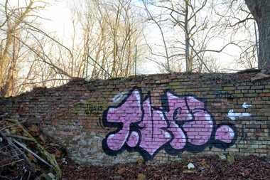 Graffiti Wall - Photo by NOIIO3 - tup, tups, throwup (2016)