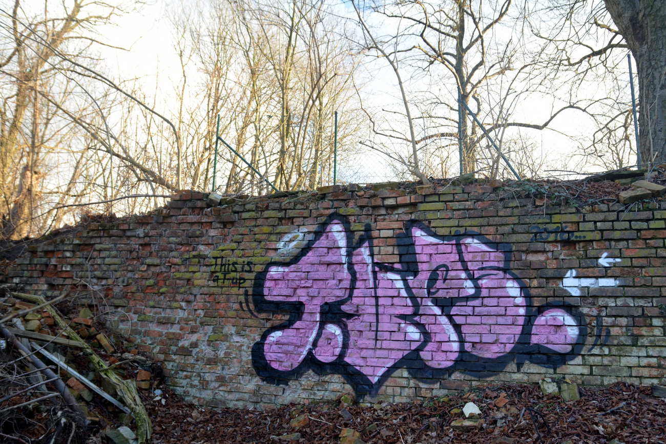 Graffiti Wall - Photo by NOIIO3 - tup, tups, throwup (2016)