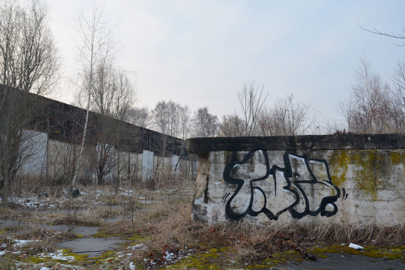 Graffiti Bombing in Frankfurt (Oder) - Photo by NOIIO3 - tups, throwup, tup (2016)