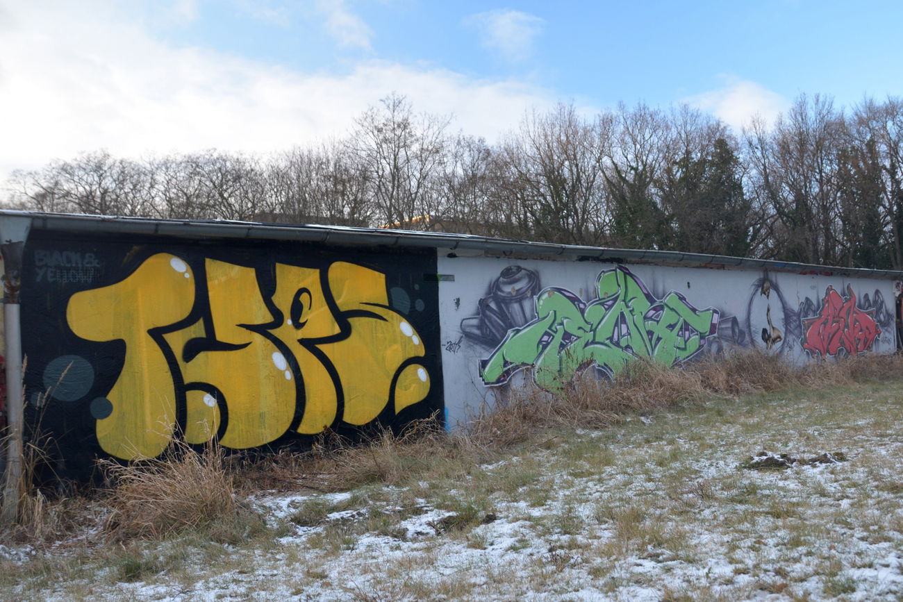 Graffiti Wall - Photo by NOIIO3 - tups (2016)