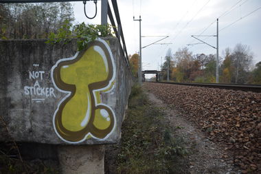 Graffiti Bombing - Photo by NOIIO3 - t (2016)