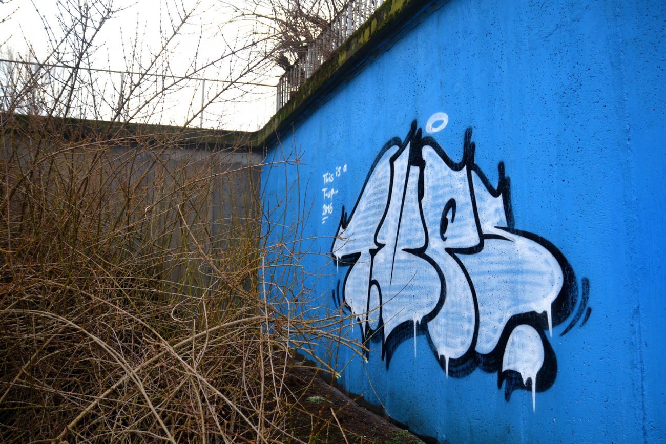 Graffiti Bombing in Frankfurt (Oder) - Photo by NOIIO3 - t.ups, t-ups, t-up (2016)