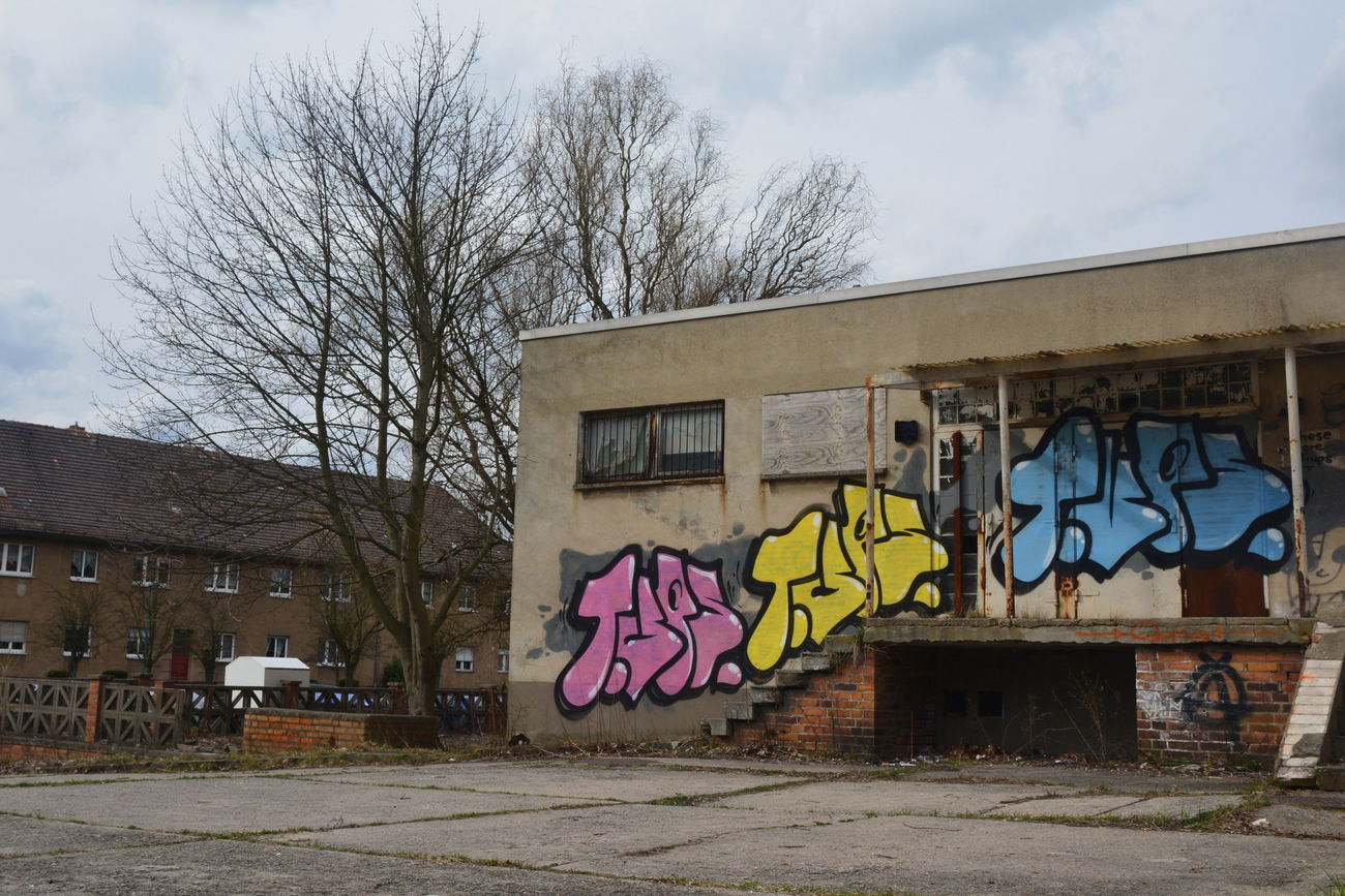 Graffiti Bombing - Photo by NOIIO3 - tups (2016)