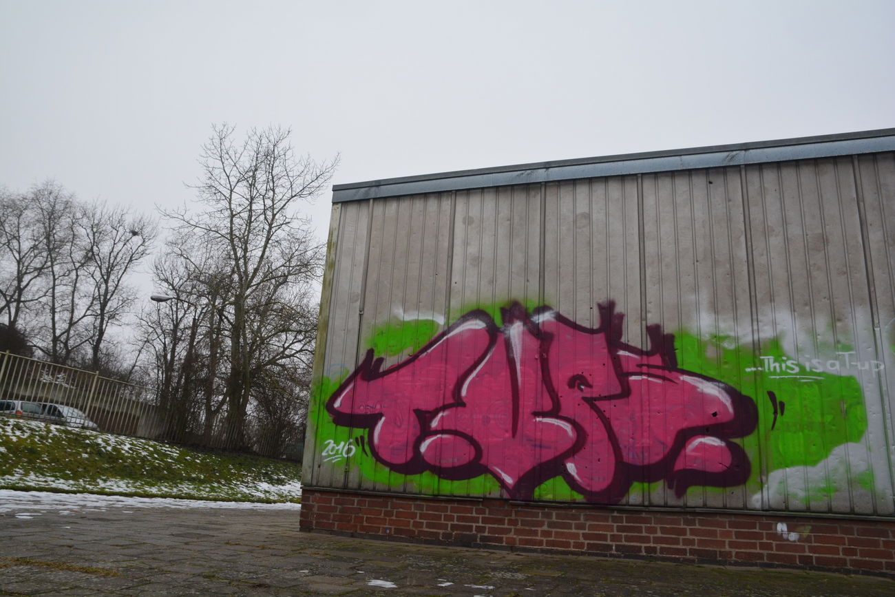 Graffiti Bombing - Photo by NOIIO3 - t-ups, t-up, throwup (2016)