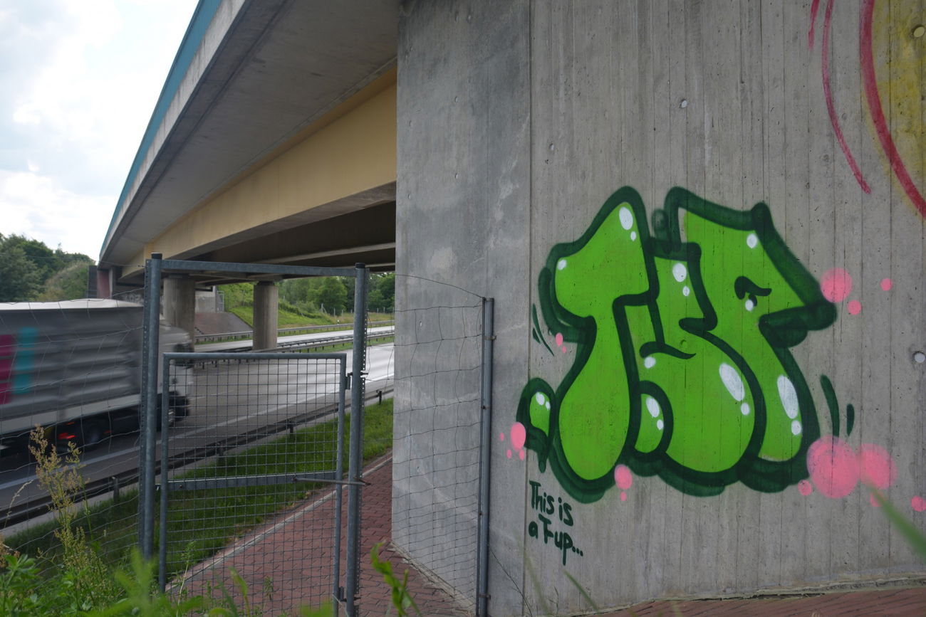 Graffiti Bombing - Photo by NOIIO3 - tup, tups, throwup (2016)