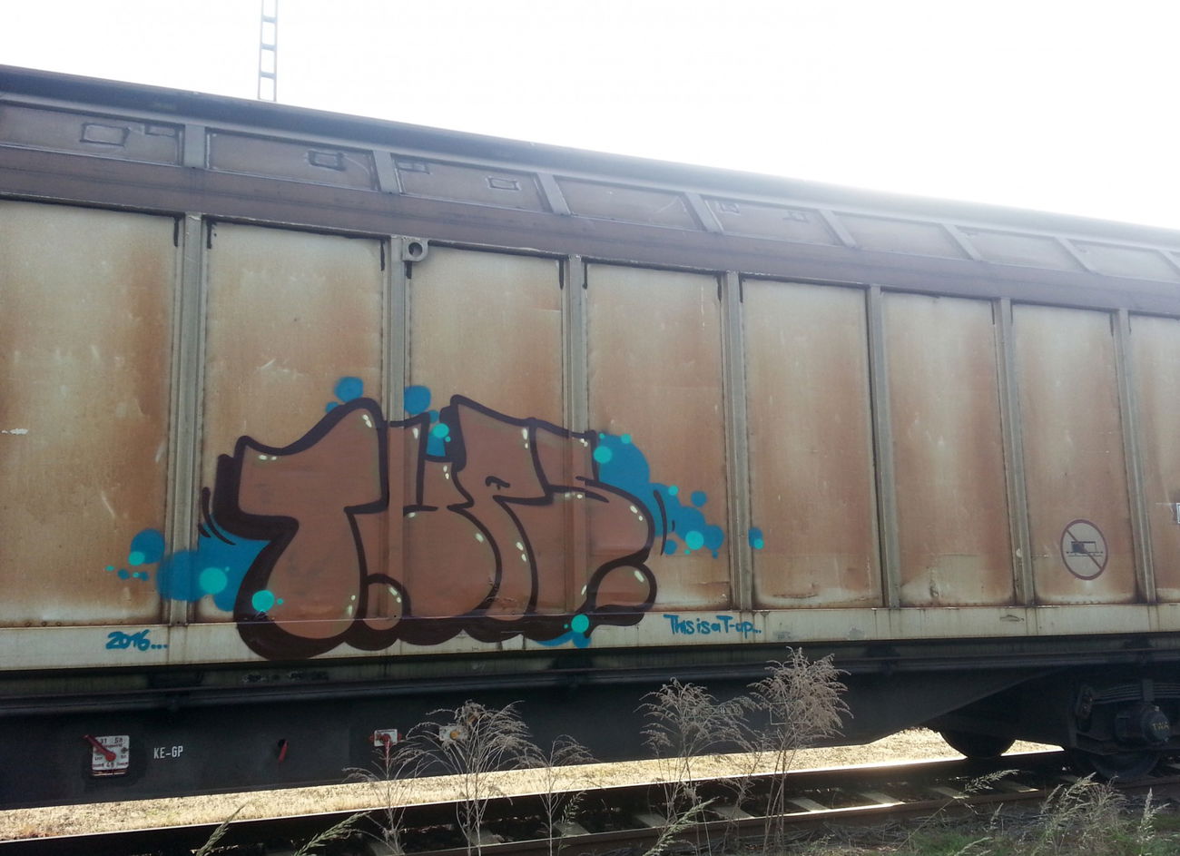 Graffiti Train - Photo by NOIIO3 - tups, tup (2016)