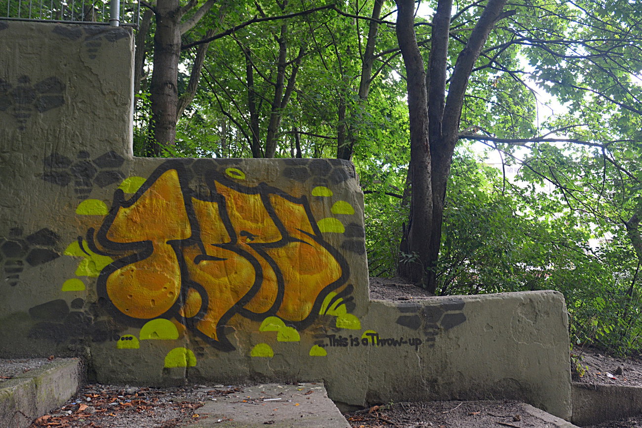 Graffiti Wall - Photo by NOIIO3 - tups, throwup, tup (2016)