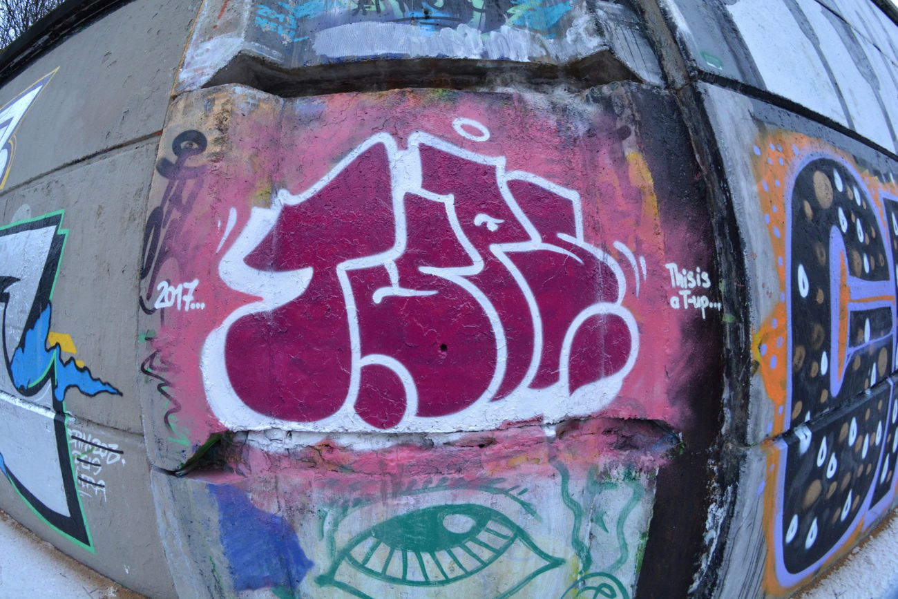 Graffiti Wall - Photo by NOIIO3 - tups, tup, throwup (2016)