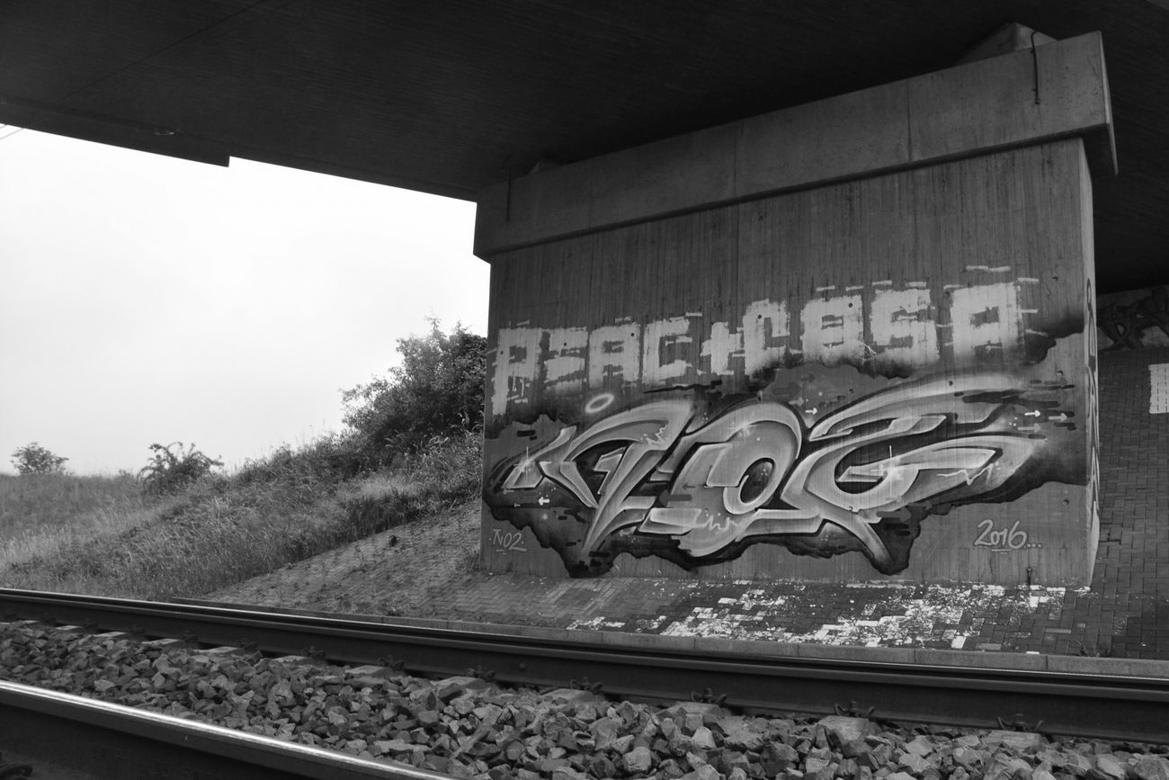 Graffiti Bombing - Photo by NOIIO3 - no2 (2016)