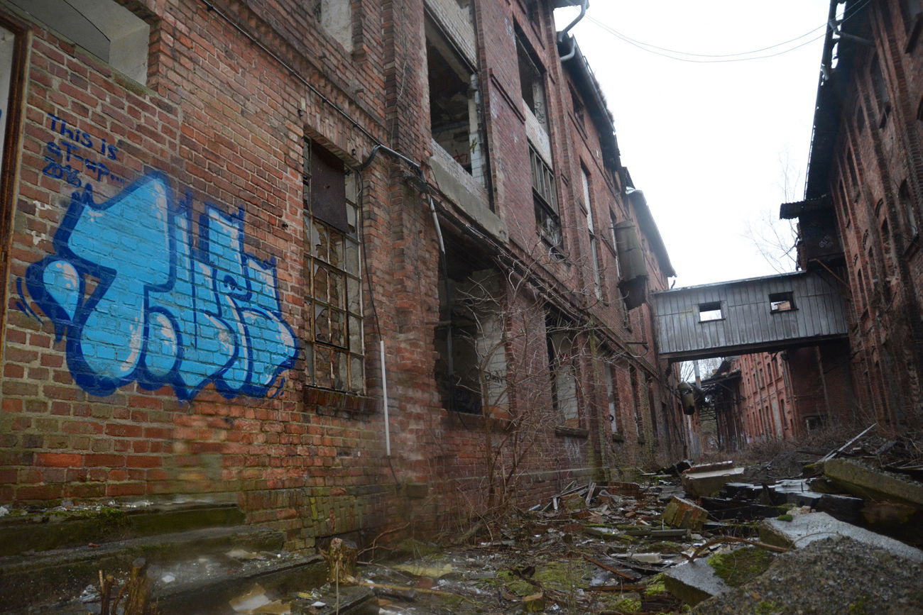 Graffiti Bombing - Photo by NOIIO3 (2016)