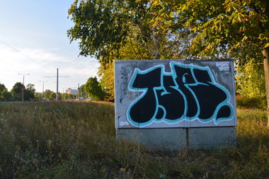 Graffiti Bombing - Photo by NOIIO3 - tups, throwup, tup (2016)