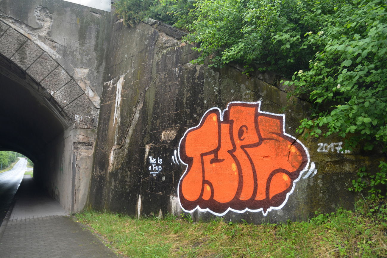 Graffiti Bombing - Photo by NOIIO3 - tups (2017)