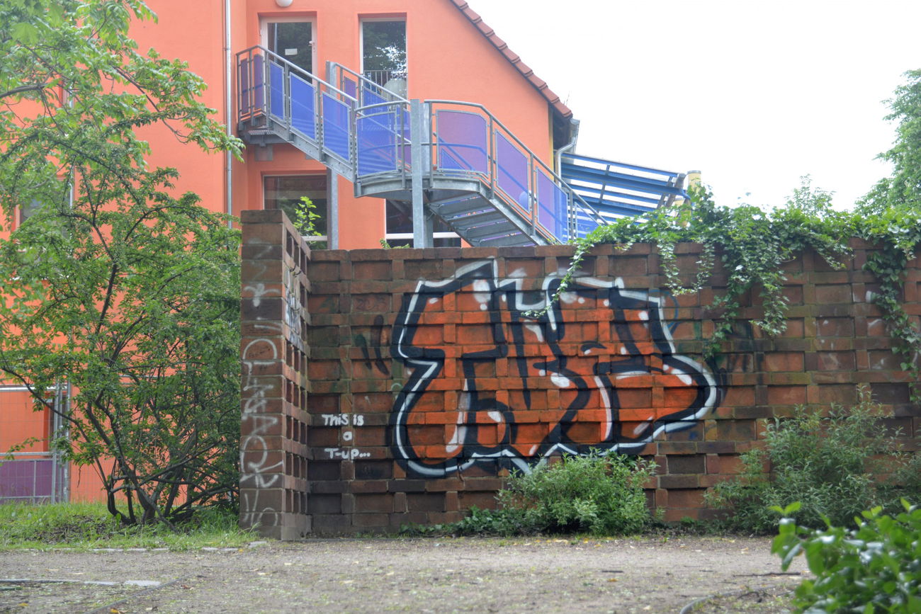 Graffiti Bombing - Photo by NOIIO3 - tups, throwup, tup (2016)