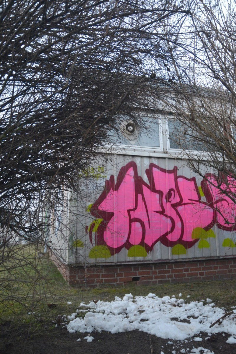 Graffiti Bombing - Photo by NOIIO3 - tups, tup, throwup (2016)