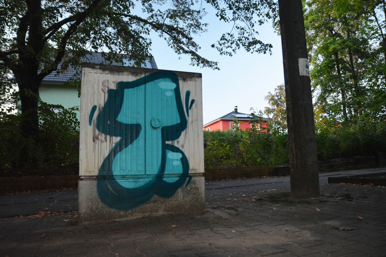 Graffiti Bombing in Frankfurt (Oder) - Photo by NOIIO3 - thisisatup, throwup, tups (2016)