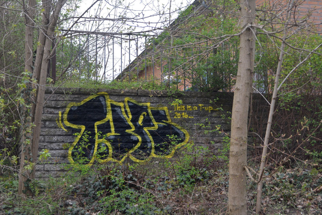 Graffiti Bombing - Photo by NOIIO3 - tups, throwup, tup (2016)