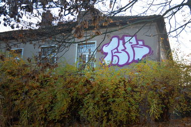 Graffiti Bombing - Photo by NOIIO3 - tups, throwup, thisisatrowup (2016)