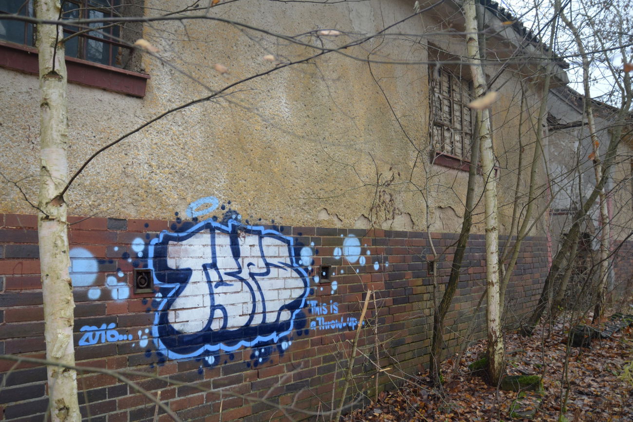 Graffiti Wall - Photo by NOIIO3 - tups, thowup, tup (2016)