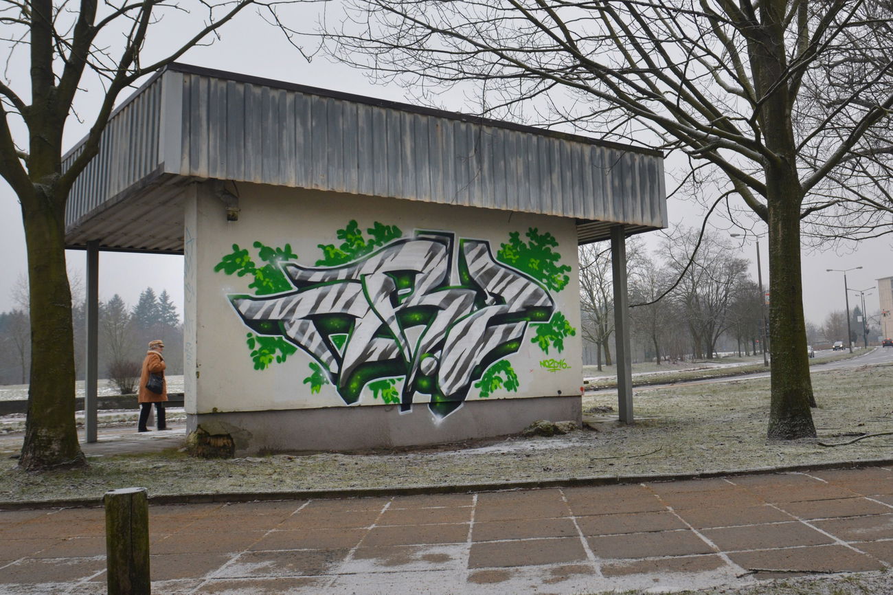 Graffiti Bombing - Photo by NOIIO3 (2016)