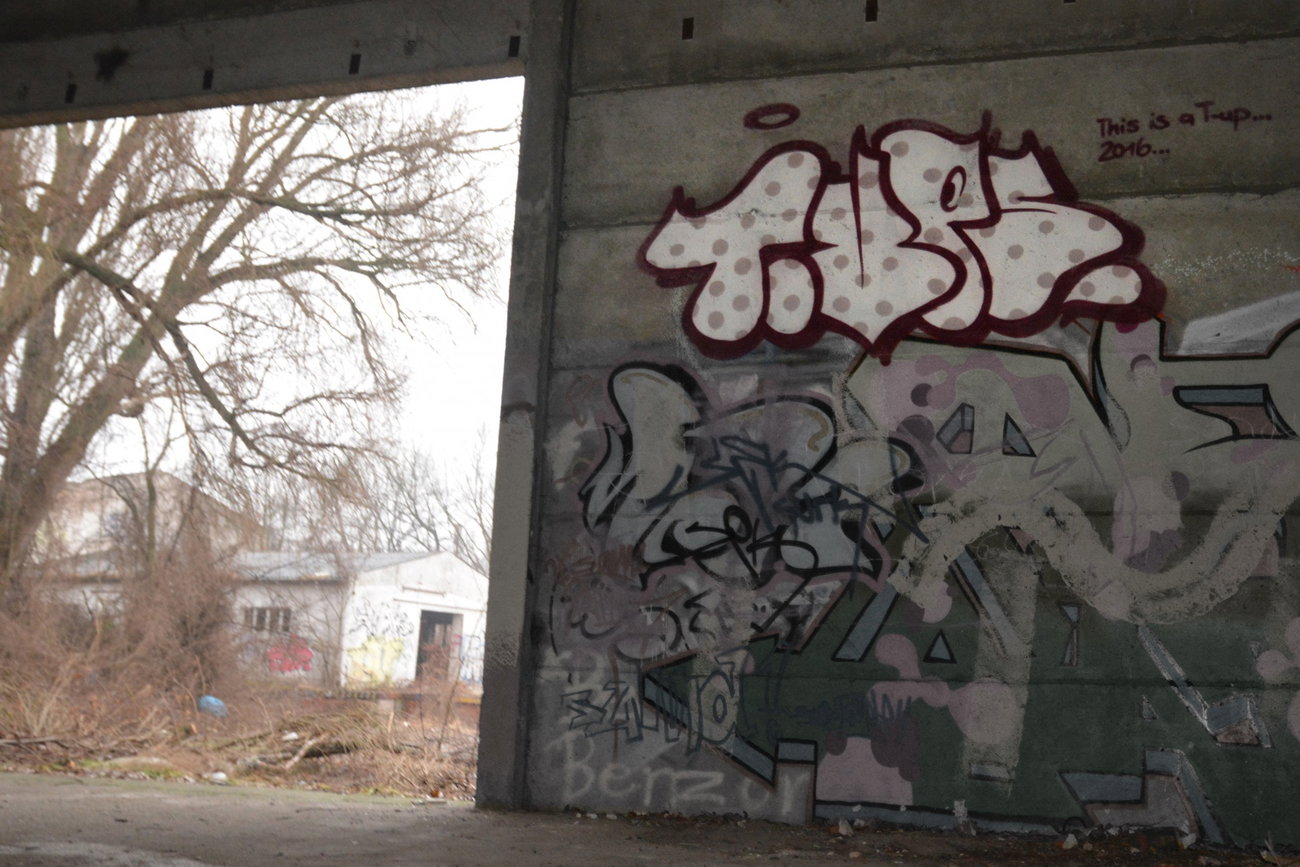 Graffiti Wall in Frankfurt (Oder) - Photo by NOIIO3 - tups, tup, thijisatup (2016)