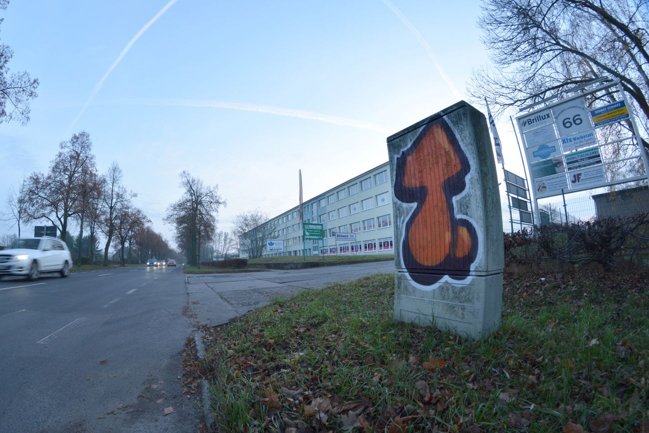 Graffiti Bombing - Photo by NOIIO3