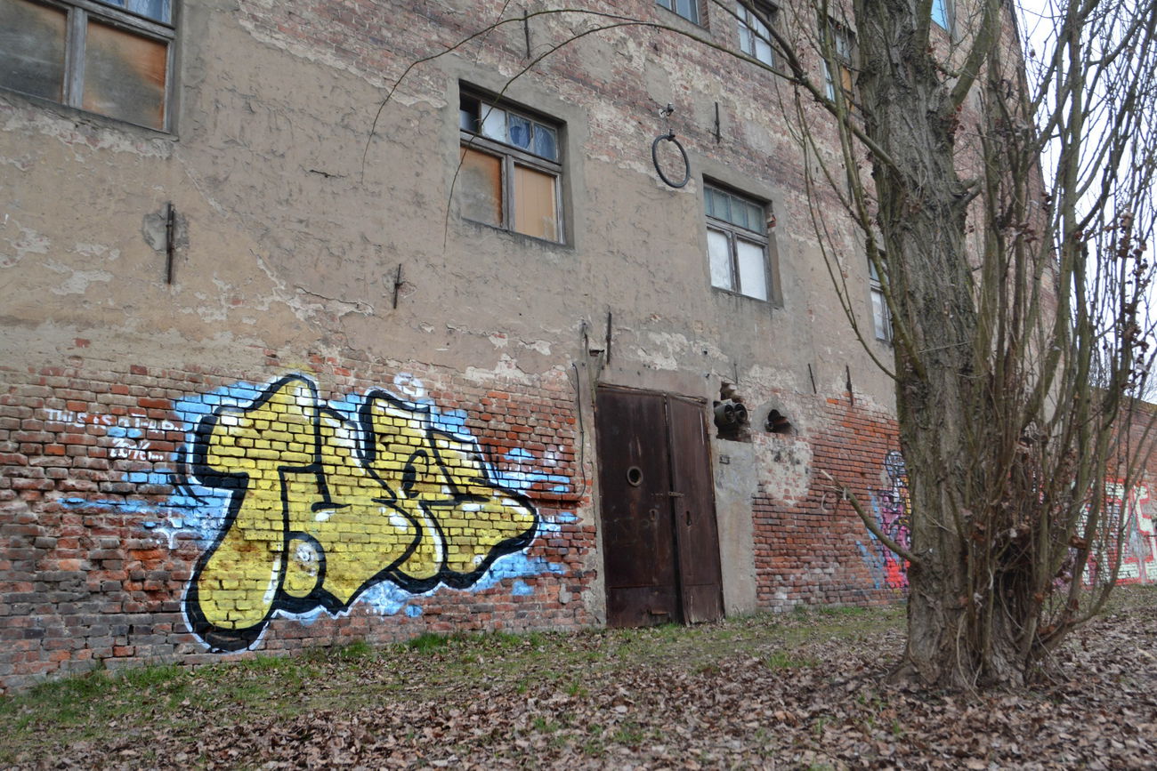 Graffiti Bombing - Photo by NOIIO3 - tups, throwup, tups (2016)