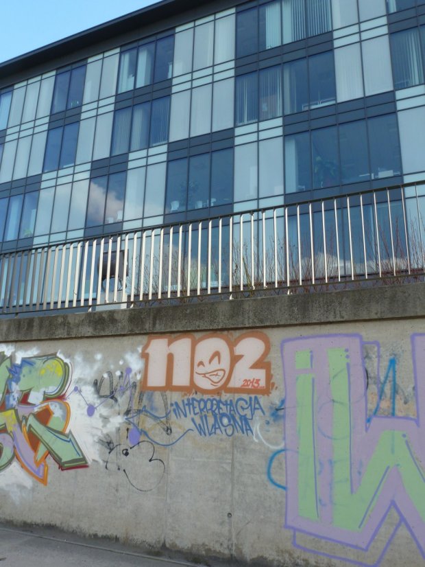 Graffiti Bombing - Photo by NOIIO3 (2013)