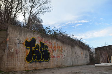 Graffiti Bombing in Frankfurt (Oder) - Photo by NOIIO3 - tups, throwup, tup (2016)