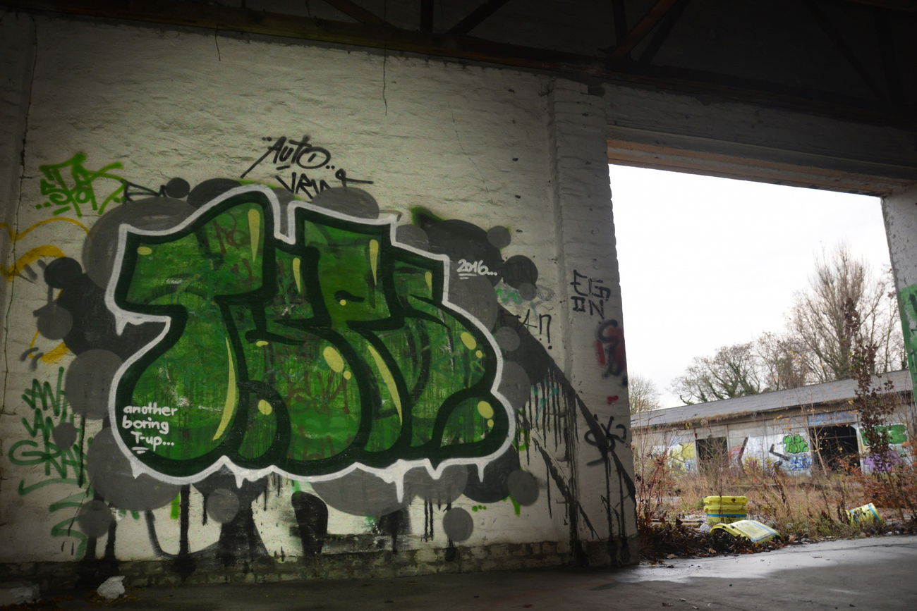 Graffiti Bombing - Photo by NOIIO3 - tups, thowup, tup (2016)