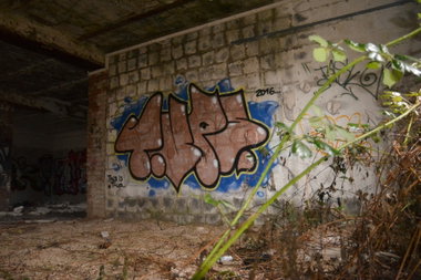 Graffiti Wall in Frankfurt (Oder) - Photo by NOIIO3 - tups, thisisatup, throwie (2016)