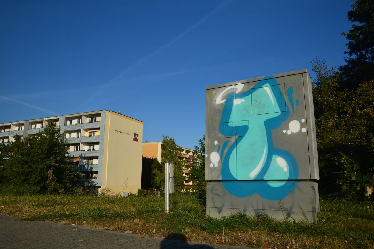 Graffiti Bombing in Frankfurt (Oder) - Photo by NOIIO3 - thisisatup, throwup, tups (2016)