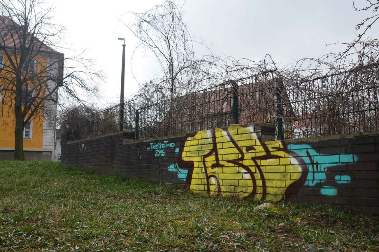 Graffiti Bombing - Photo by NOIIO3 - tups (2016)