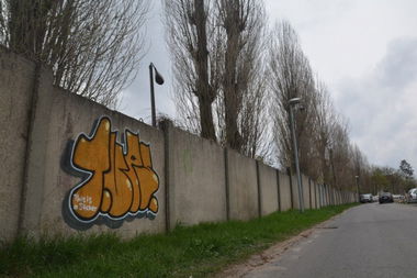 Graffiti Bombing - Photo by NOIIO3 - tups, tup, throwup (2016)