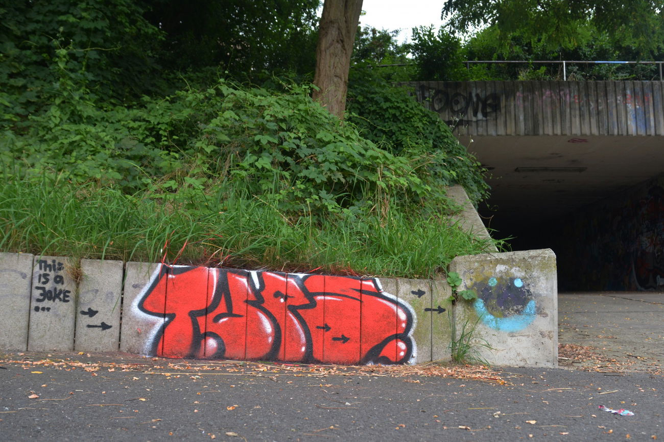 Graffiti Bombing in Frankfurt (Oder) - Photo by NOIIO3 - thisisatup, throwup, tups (2016)