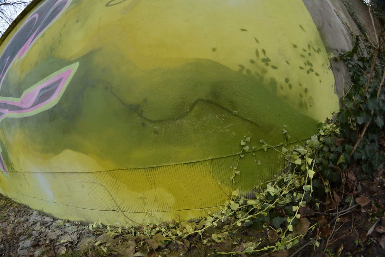 Graffiti Bombing - Photo by NOIIO3 - no2 (2017)