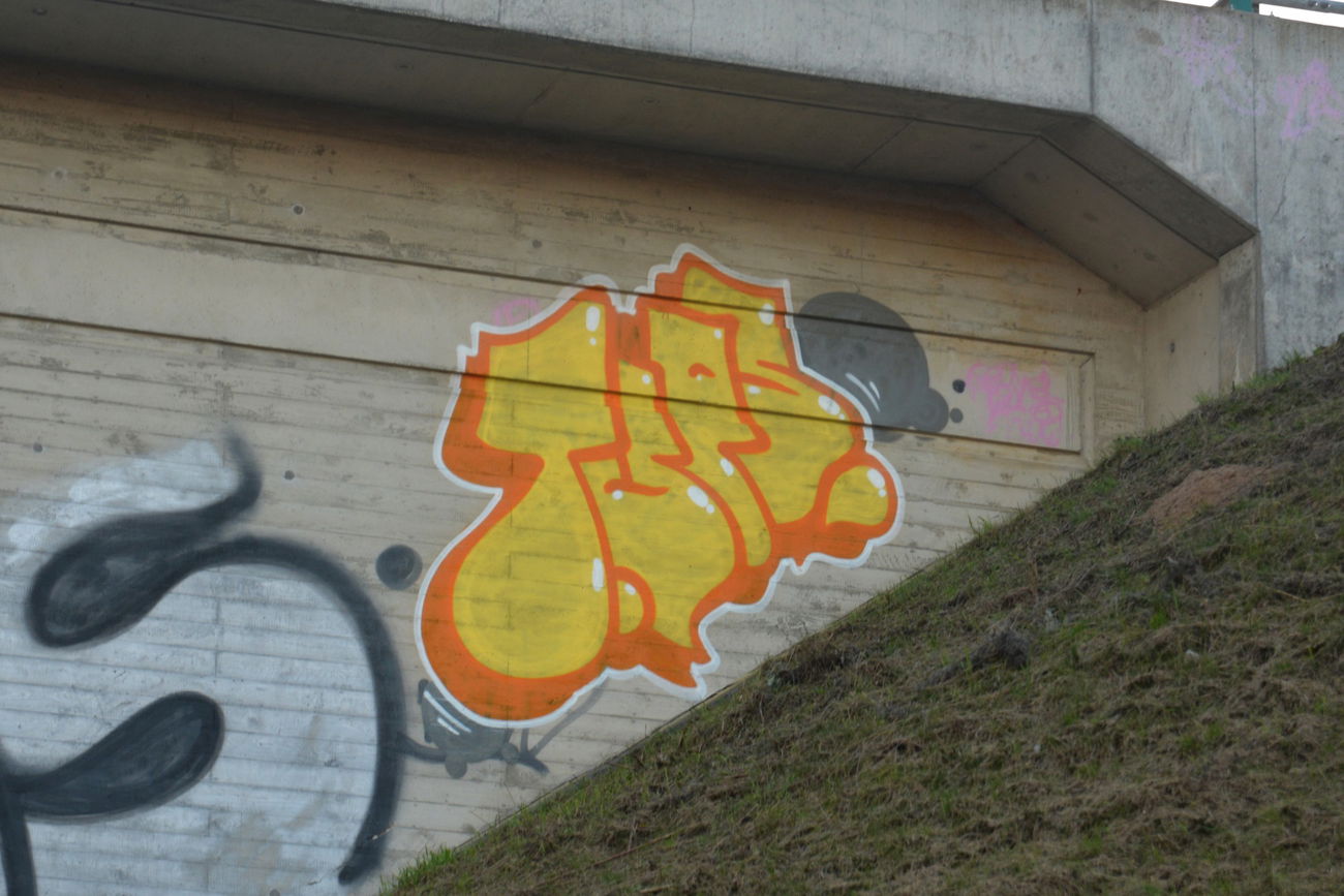 Graffiti Bombing - Photo by NOIIO3 - t (2016)