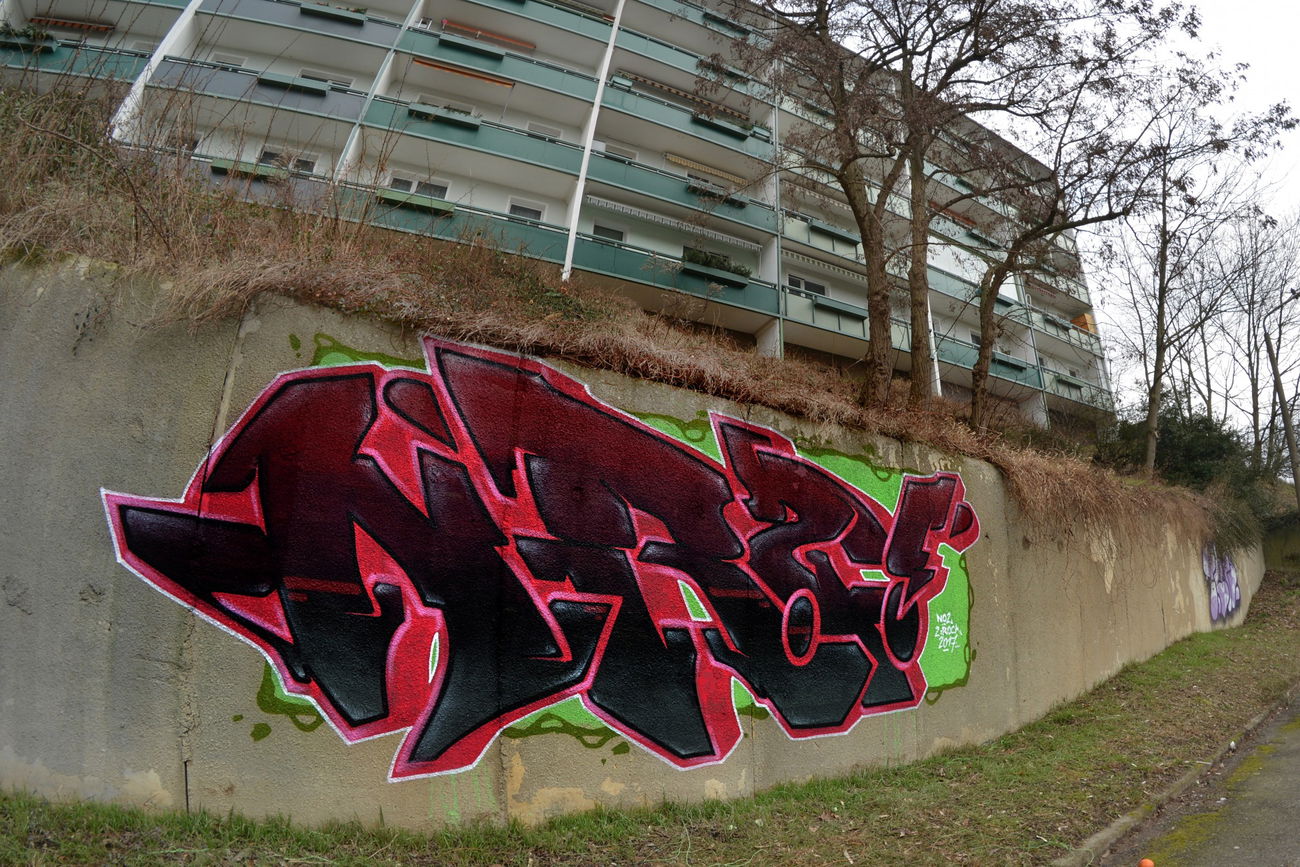 Graffiti Bombing - Photo by NOIIO3 - no2 (2017)