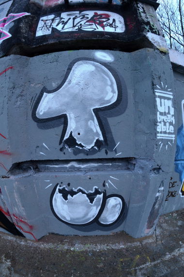 Graffiti Wall - Photo by NOIIO3 - tups, t, throwup (2017)