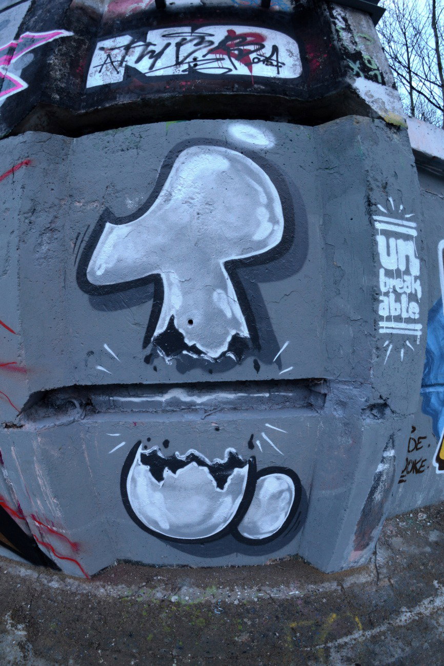 Graffiti Wall - Photo by NOIIO3 - tups, t, throwup (2017)