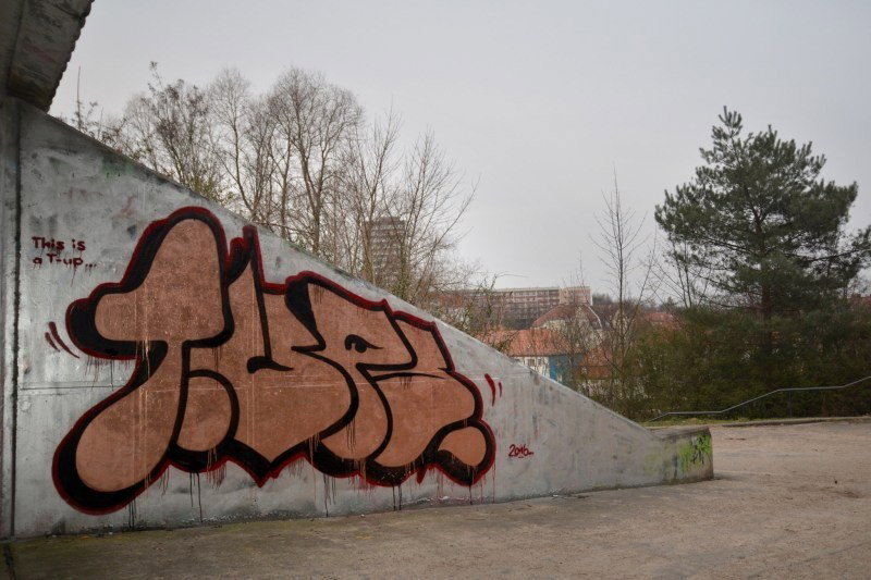 Graffiti Wall - Photo by NOIIO3 - tups, tup, throwup (2016)