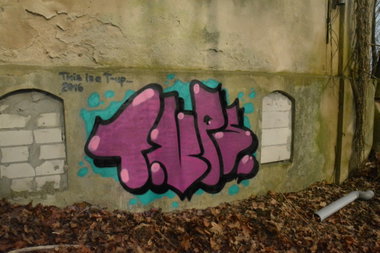 Graffiti Wall - Photo by NOIIO3 - tup, tups, throwup (2016)