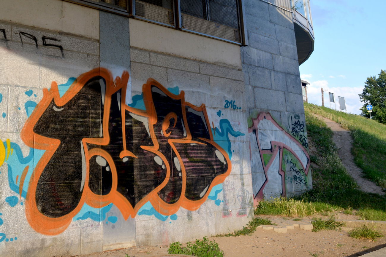 Graffiti Bombing - Photo by NOIIO3 - tup, tups, throwup (2016)