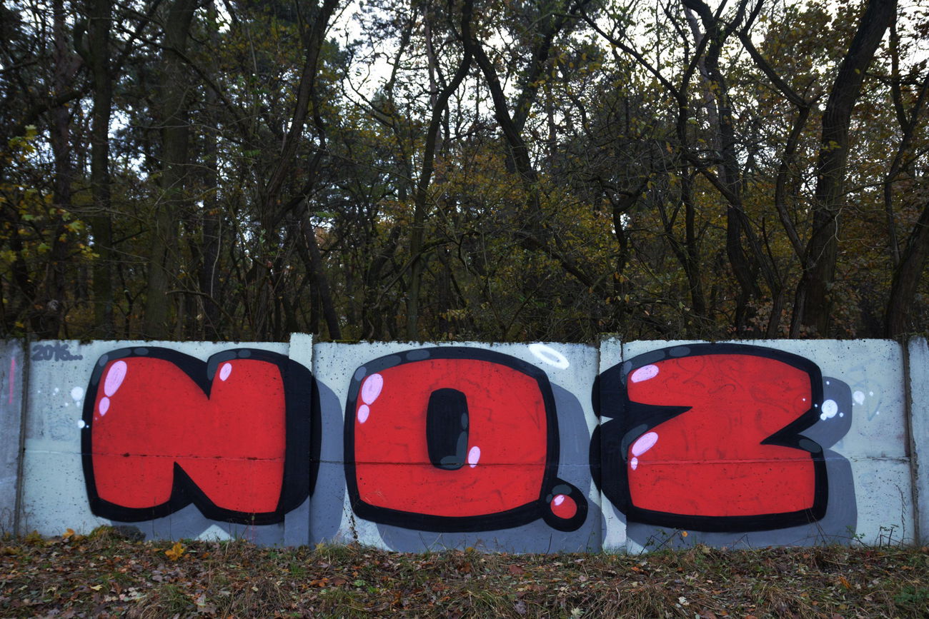 Graffiti Bombing in Fürstenwalde - Photo by NOIIO3 - no2, nr2, numbertwo (2016)