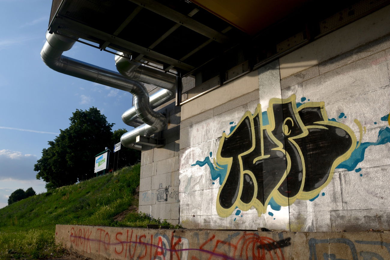 Graffiti Bombing - Photo by NOIIO3 - tups, throwup, tup (2016)