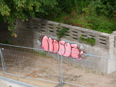 Graffiti Bombing - Photo by NOIIO3 (2012)